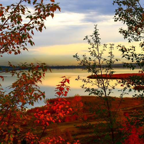 Photo #12937292