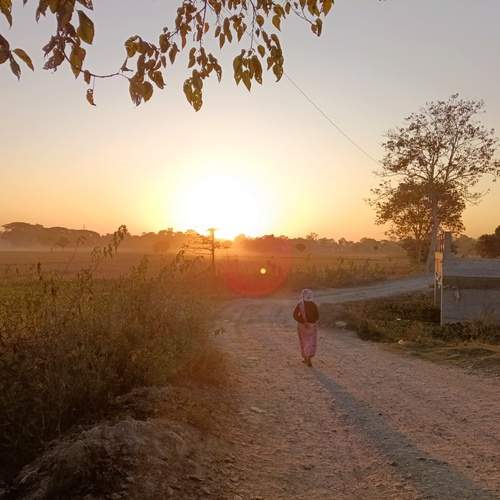 Photo #12938393