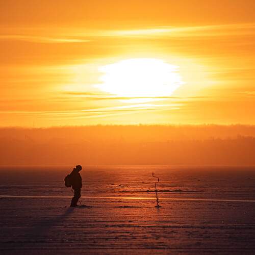 Photo #12938537