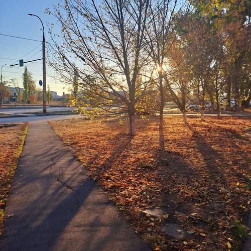 Photo #12938575