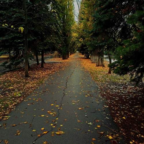 Photo #12938576