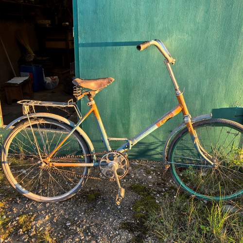 Photo #12938599