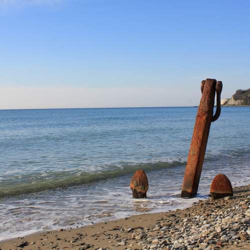 Photo #12938912