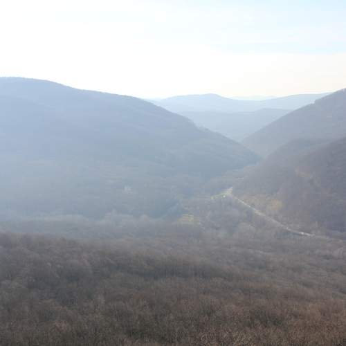 Предгорье Кавказа