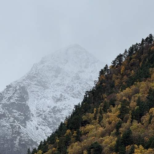Photo #12939021