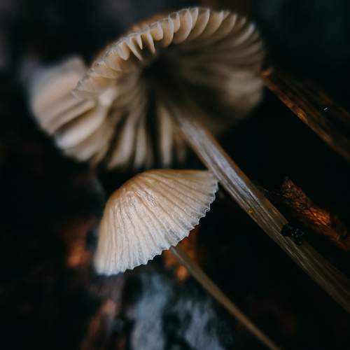 Photo #12939102