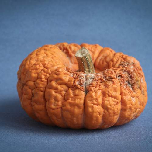 Photo #12939651