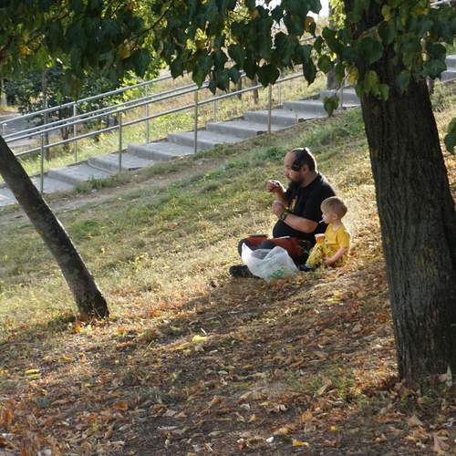 Photo #12939806