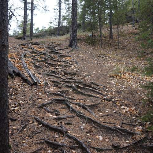 Photo #12939870