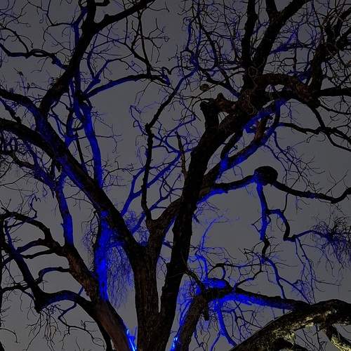 Photo #12939991