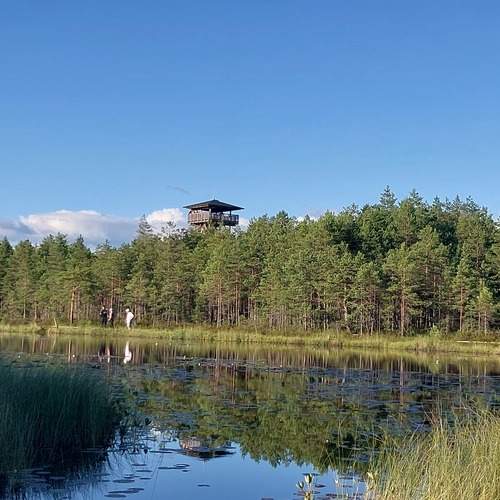 Photo #12940002