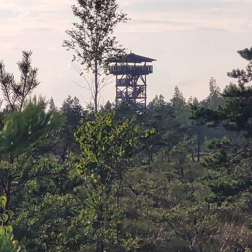 Photo #12940004