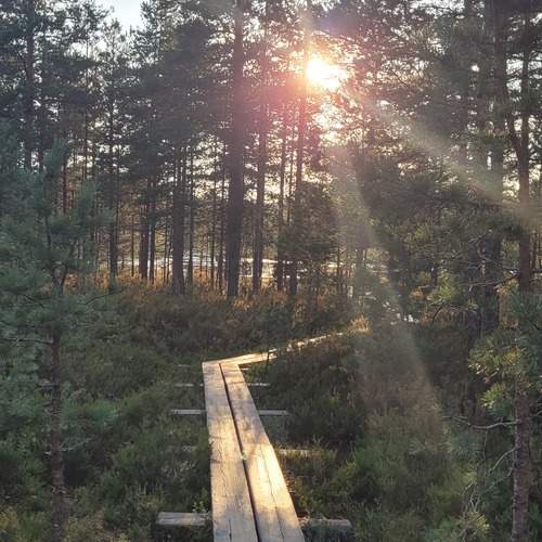 Photo #12940010