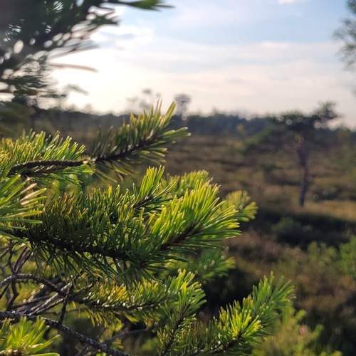 Photo #12940011