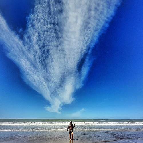 Photo #12940195