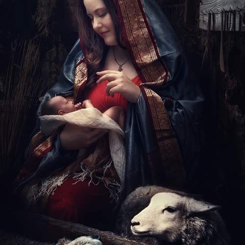 Photo #12940264
