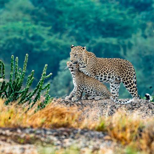 Photo #12940567