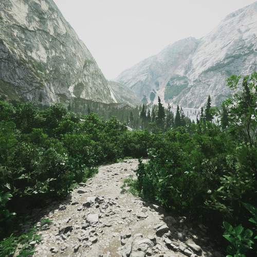 Photo #12940594