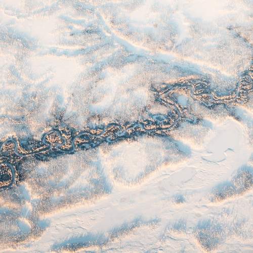 Photo #12940615