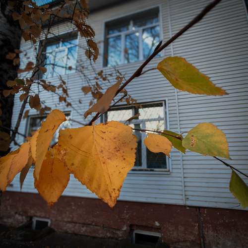 Photo #12941007