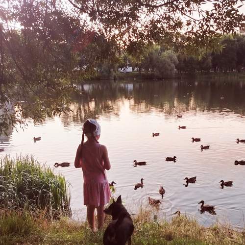 Photo #12941014