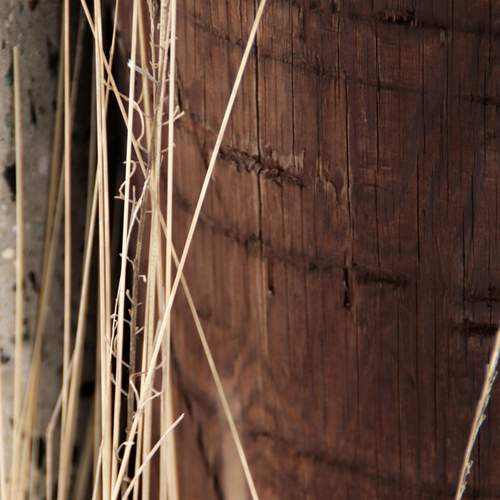 Photo #12941451