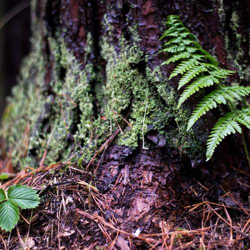 Photo #12941555
