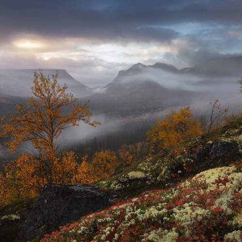 Фотография #12941611