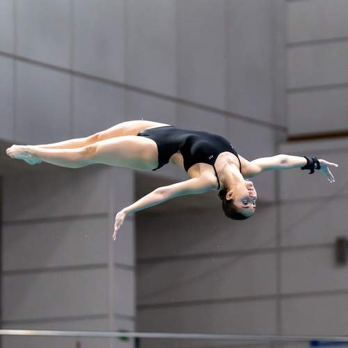 Free Fall