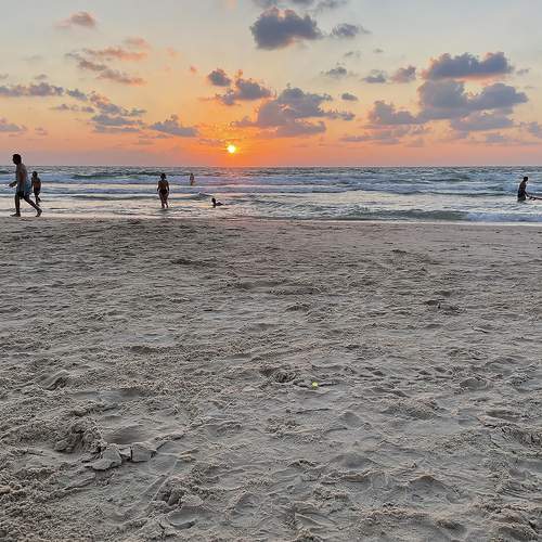 Photo #12941676