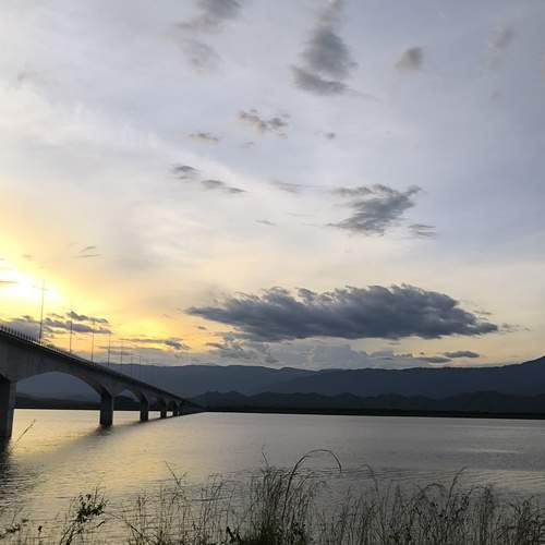 Photo #12941995