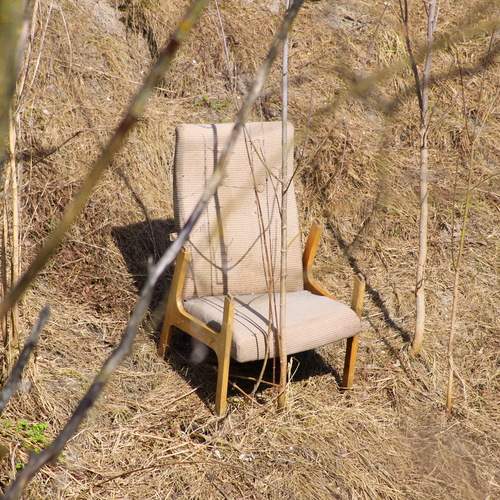 Photo #12942516