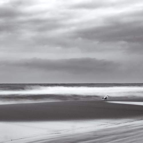 Photo #12942551