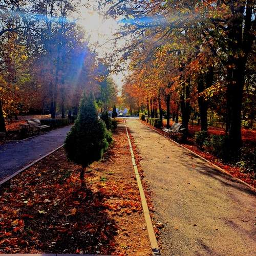 Photo #12942902