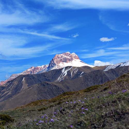 Photo #12943152