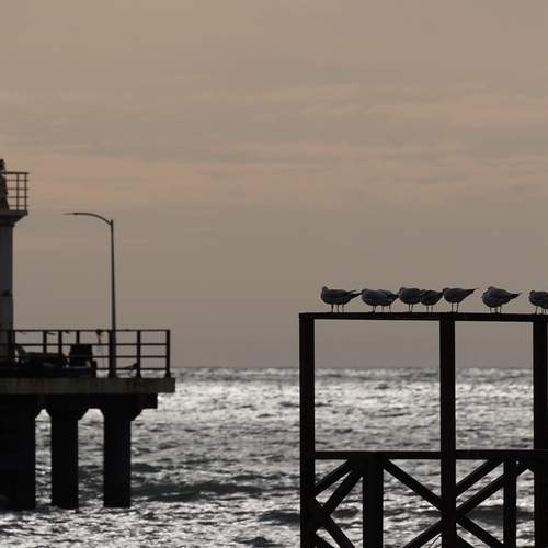 Photo #12943218