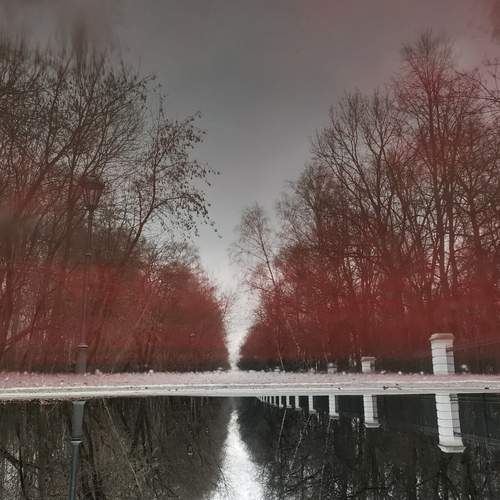 Photo #12943775
