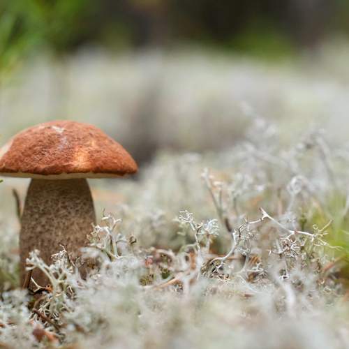 Photo #12943937