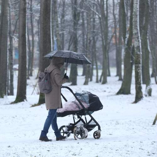 Photo #12943982