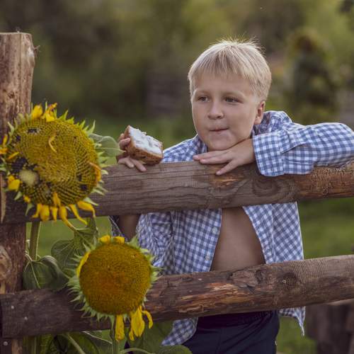 Photo #12944380