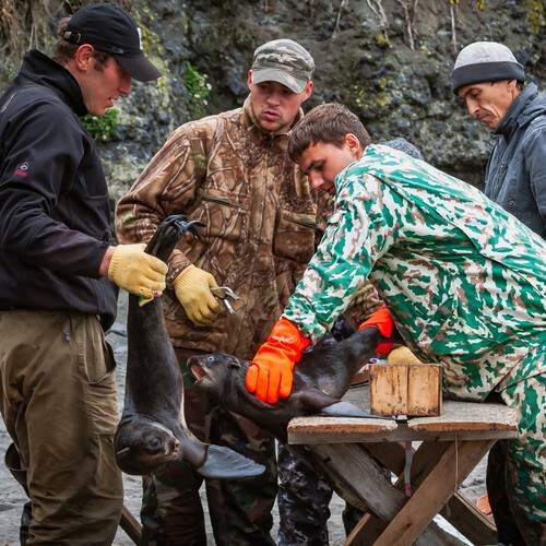 Photo #12944402