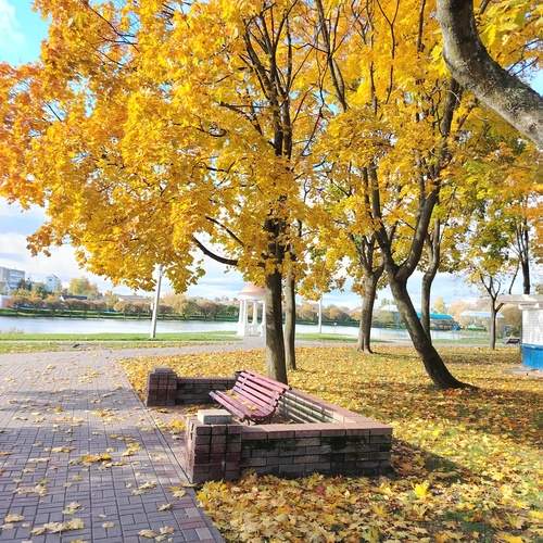 Photo #12944423