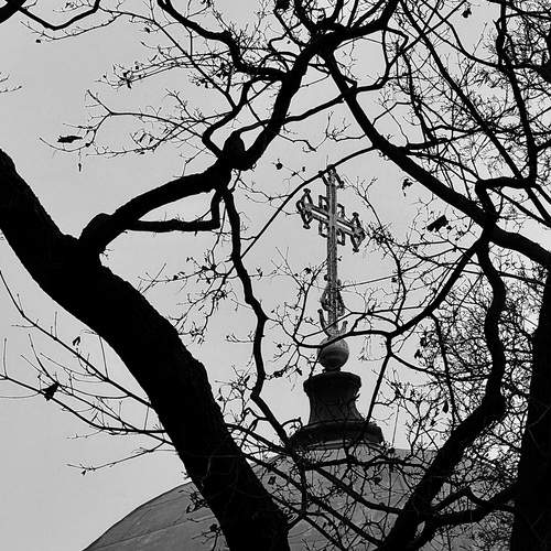 Photo #12944584