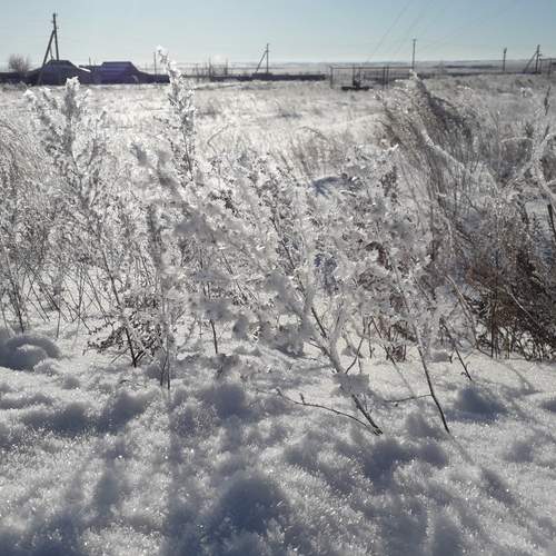 Photo #12944973