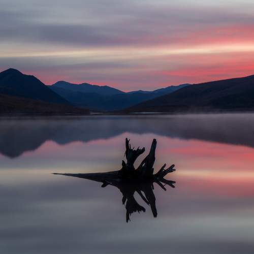 Фотография #12945521