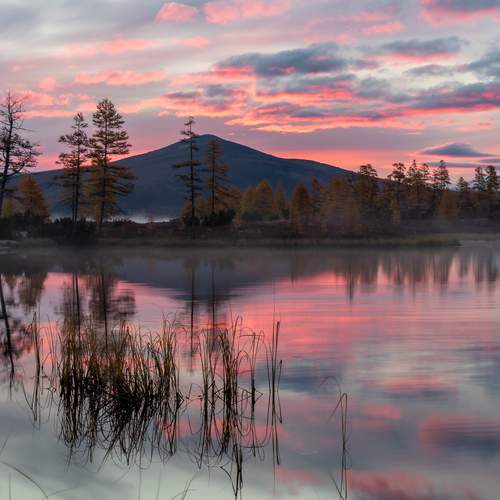 Фотография #12945529