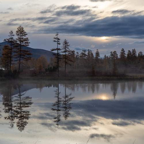 Photo #12945532