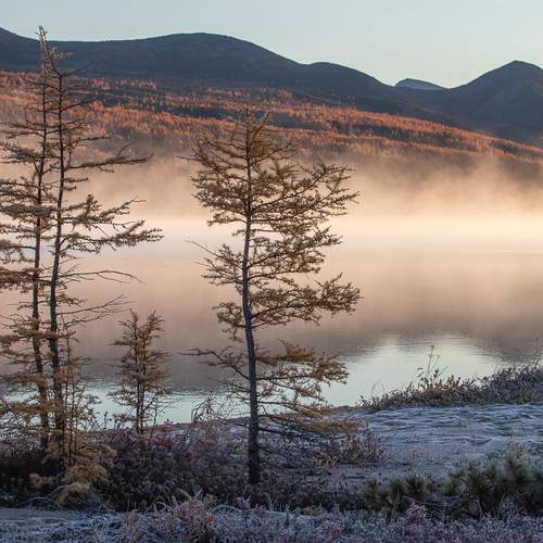 Фотография #12945533