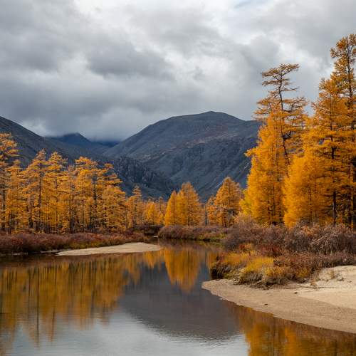 Фотография #12945537