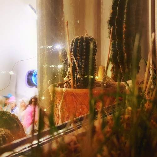 Photo #12946250